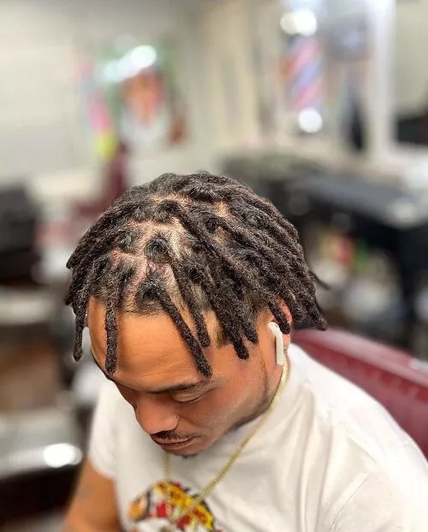 Detailed view of healthy locs